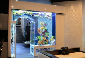 custom aquariums orlando